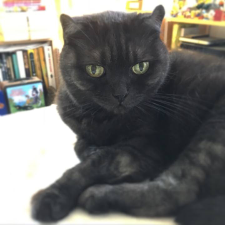 733599bb c012 4059 8940 8bc88f1a1b17 1569646514351