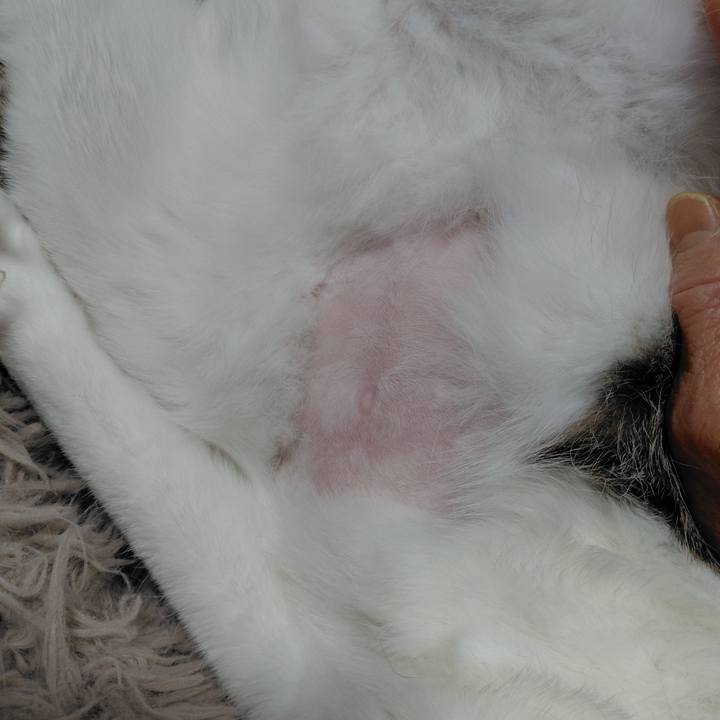 7335ad14 63c1 4078 9056 7f5361822830 1772966751933