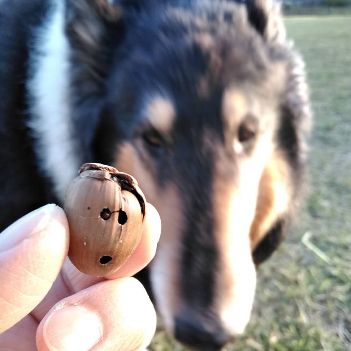 7335c024 987f 42a0 9b3a b678420c2613 1523364215819