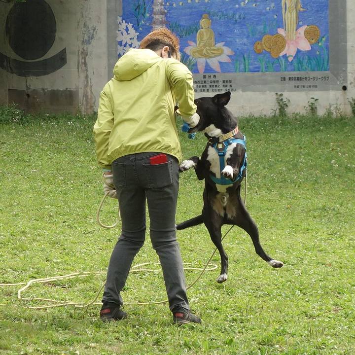 7335ec1d 91de 4c17 9568 3bf84c89534f 1619311126518