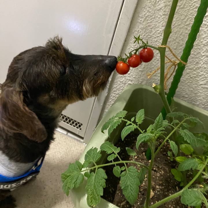 73363075 9965 4377 9edd e9b272871d9f 1592405339652