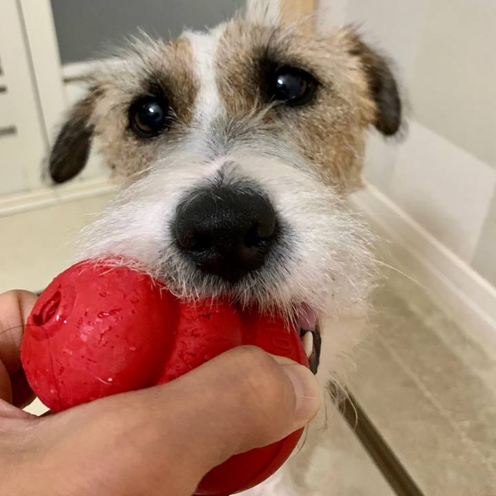 73364fc3 4d0d 4b13 956e 79ca220f8093 1606173926406