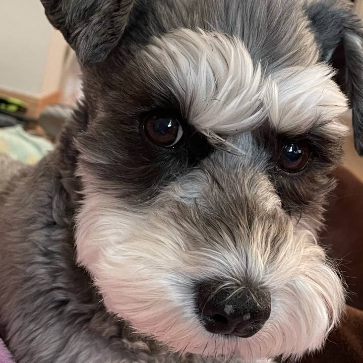 73369254 794e 40a2 b0cd f81607a7c109 1612049817150