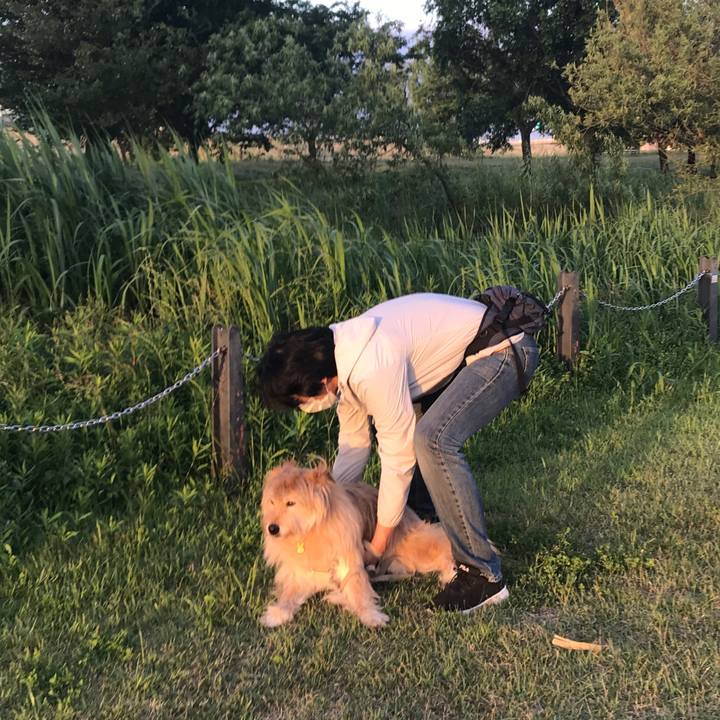 7336fb9a 3b36 4d75 b7cc 09e9aea47403 1590357920154