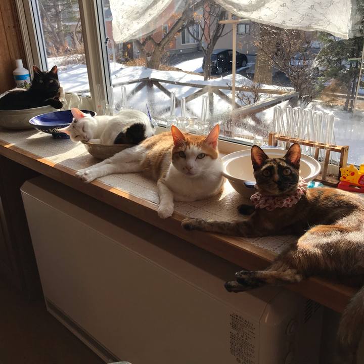 73372a70 487b 4380 aa35 a333541f5e03 1616194552653