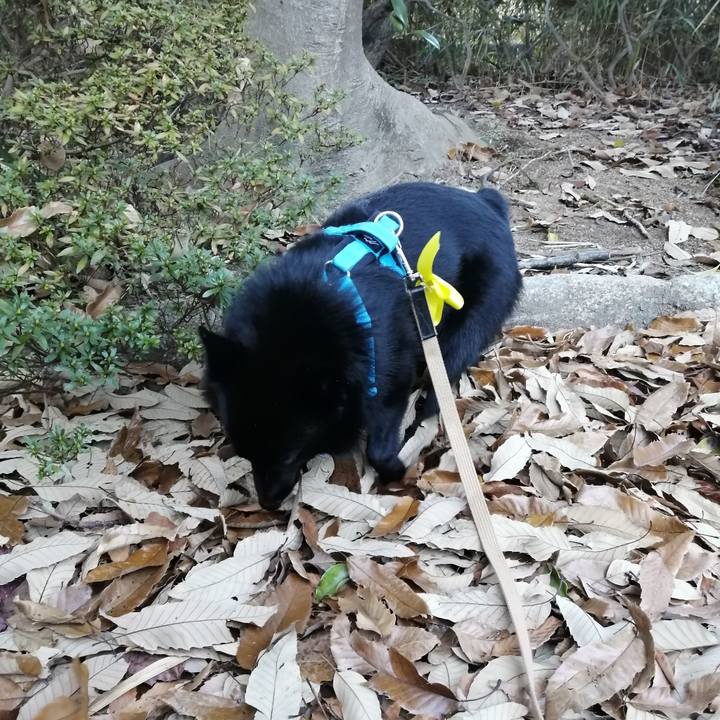 73373070 b6e0 4046 b389 2c6c77823875 1637968547330