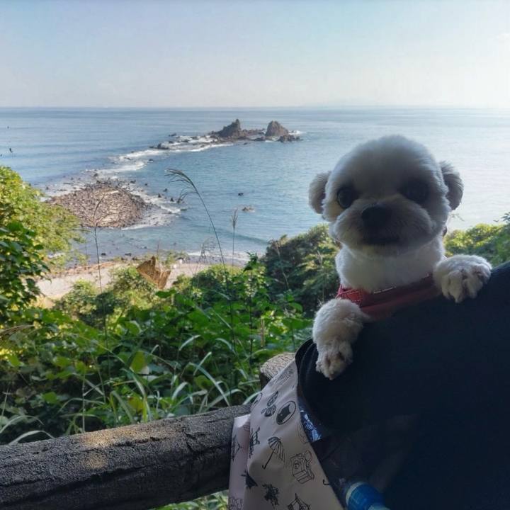 73378c14 82af 4504 b1a8 bcccf8867b06 1731409219802