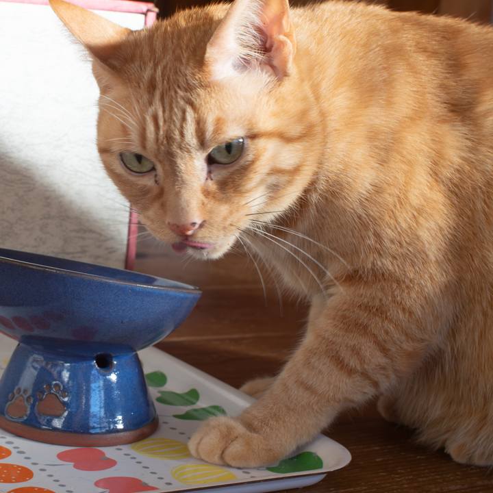 733795c6 d53a 4a96 97ad 2e4244d3cc1a 1766057876788