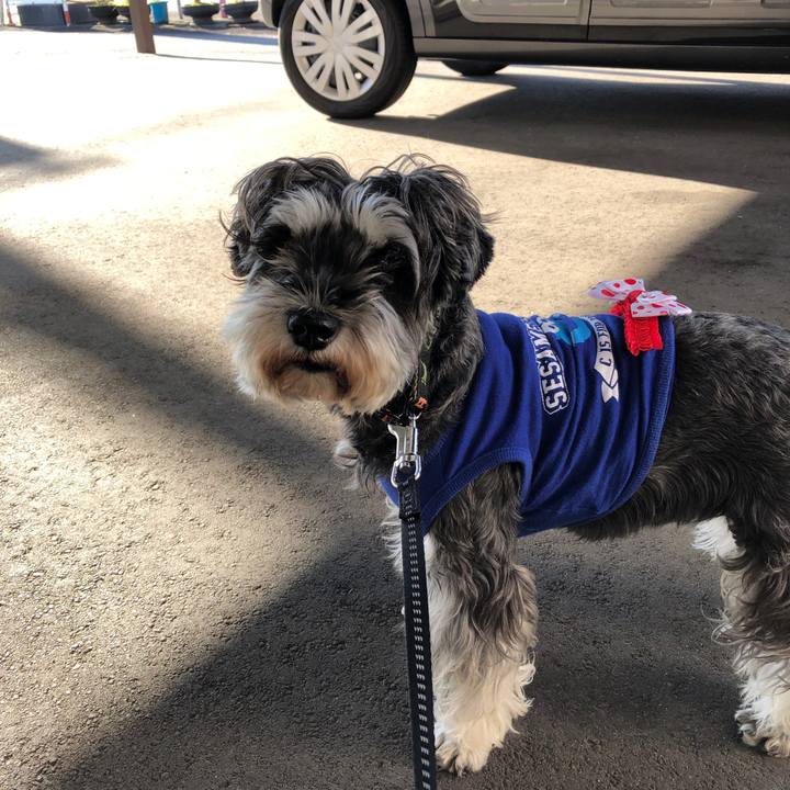 733799d7 bf6b 4ec7 8d08 b11edeb3f7c2 1636780703608