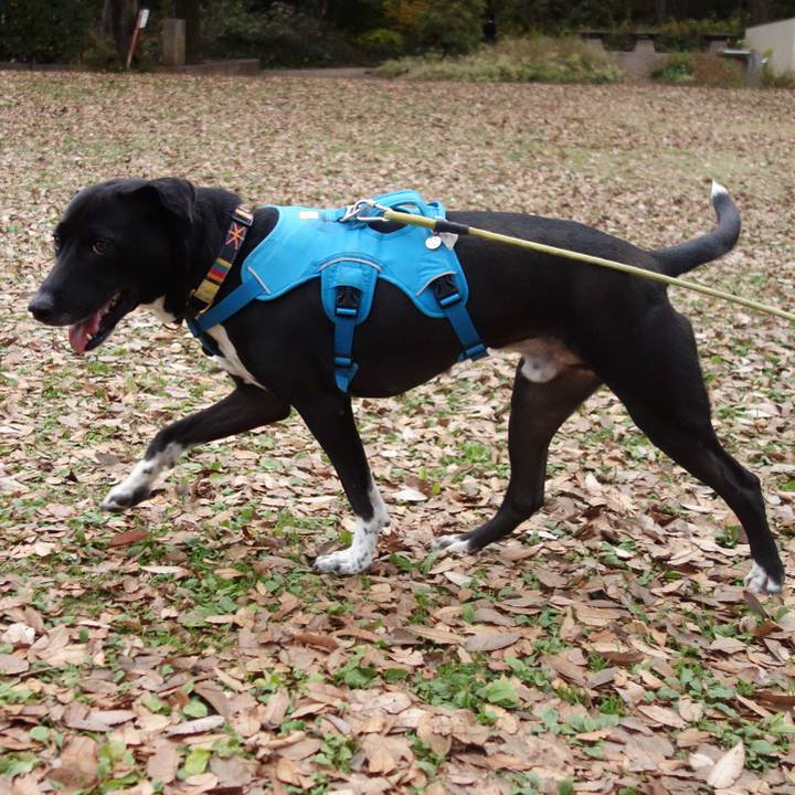 7337d855 720b 4e1c 8210 8cfca35ca9a1 1607472579399