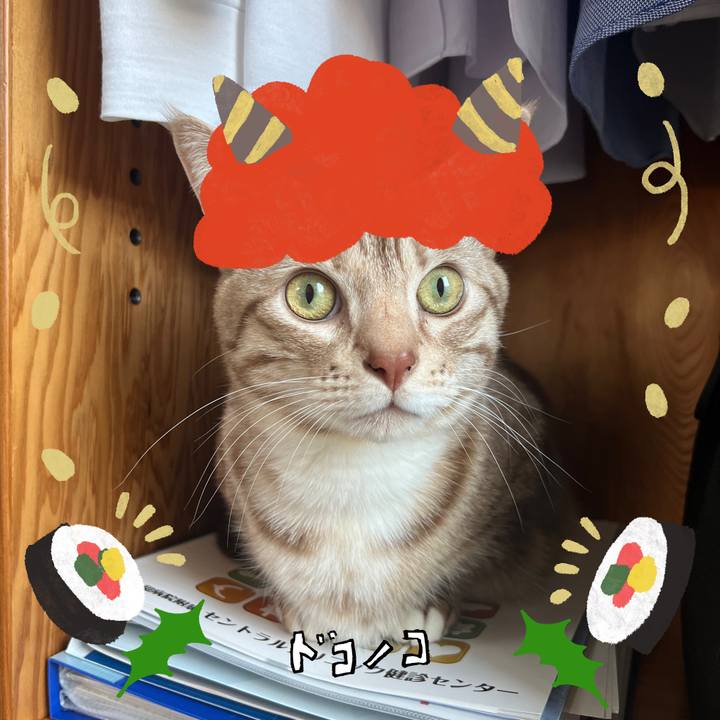 73380cf9 badc 42bb 91a6 13bba86ad755 1706912959380