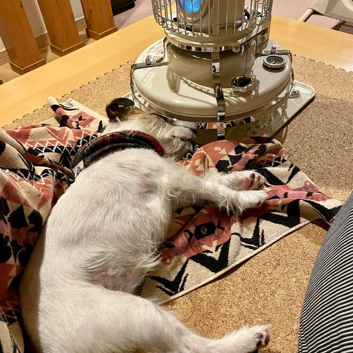 73380e2d ff7c 4a53 8df1 e3f07ebaec93 1677675471186