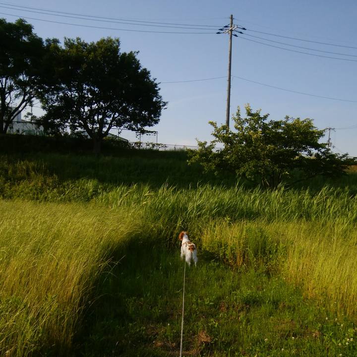 73381efd 8934 451e 9fe0 412a645c815a 1528114701968