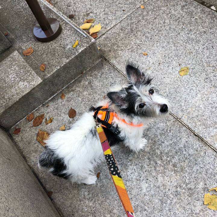 73383d37 9edb 484f a5f6 091f1b206ee6 1572869158944