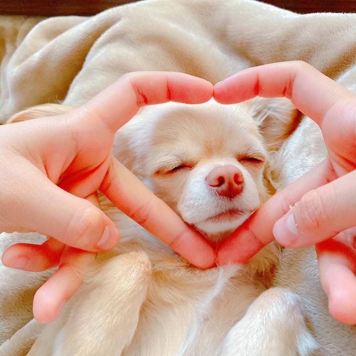 733848f4 343a 45da ac5b 55b1707a5c98 1647653292644