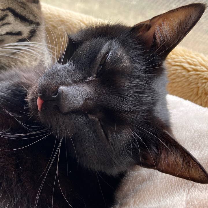 733885cf 0134 499c 9ff4 3c6214c7b6e8 1673782398785