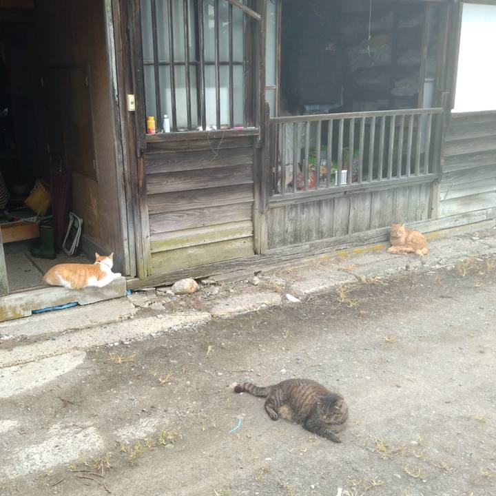 733893ae 500c 408c bc73 3c47a0bda53f 1751753007346