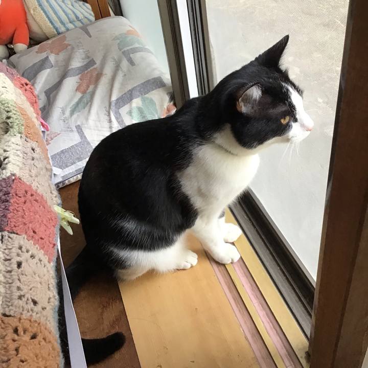 73389d85 a3a5 46d9 83d4 58e64aa6bd65 1646641546764