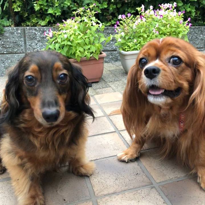 7338b7b9 479f 4be3 ace5 bc3bcca72619 1600769453678