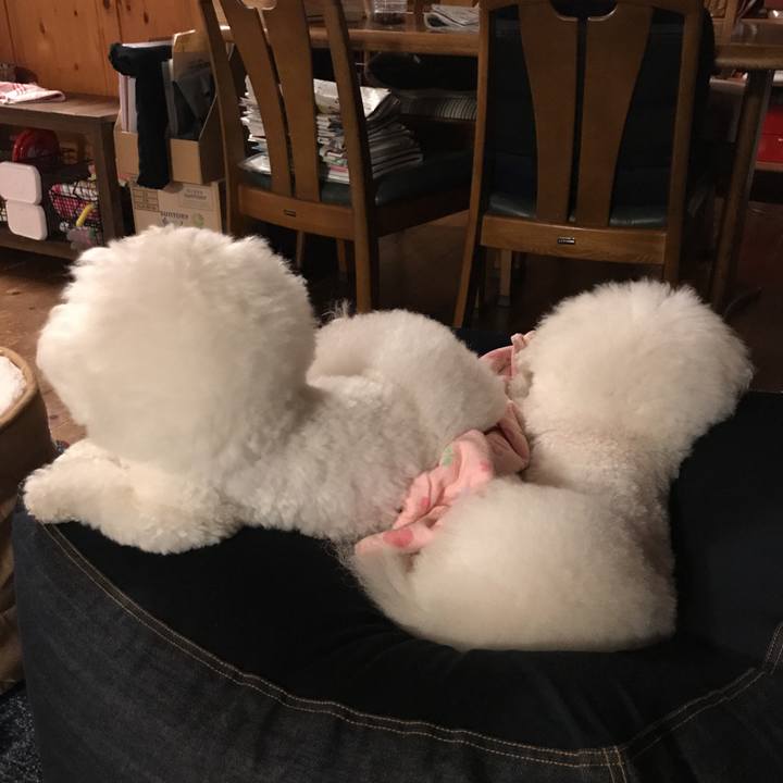 7338bf6b 750b 419a 8955 43ddf2c0f5f5 1544170555959