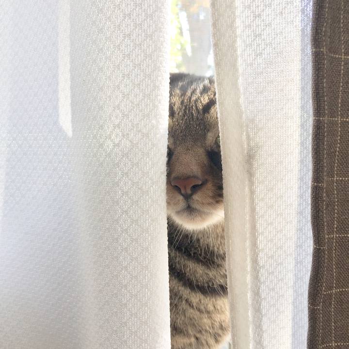 7338ced8 8f04 4a1a b997 e45d0c22b812 1636852275472