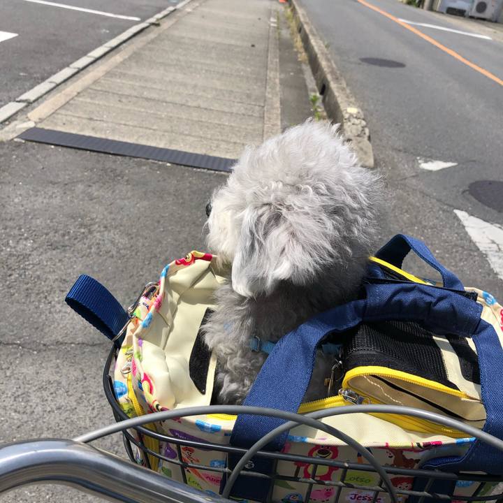 7339111a 65d5 47df 966b 459f06b9f371 1620172737200