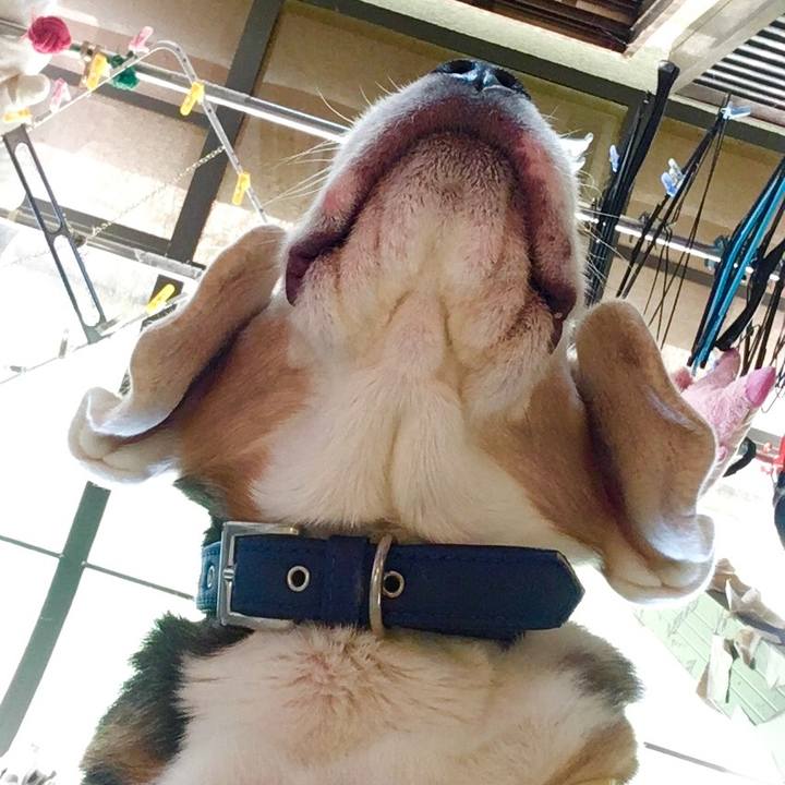 73393582 c1cc 48f6 8d37 6608cf2f271f 1576295383903