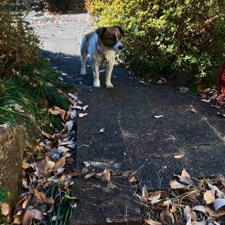 7339379b a4da 4218 9ca1 94626f0afef2 1515821849483