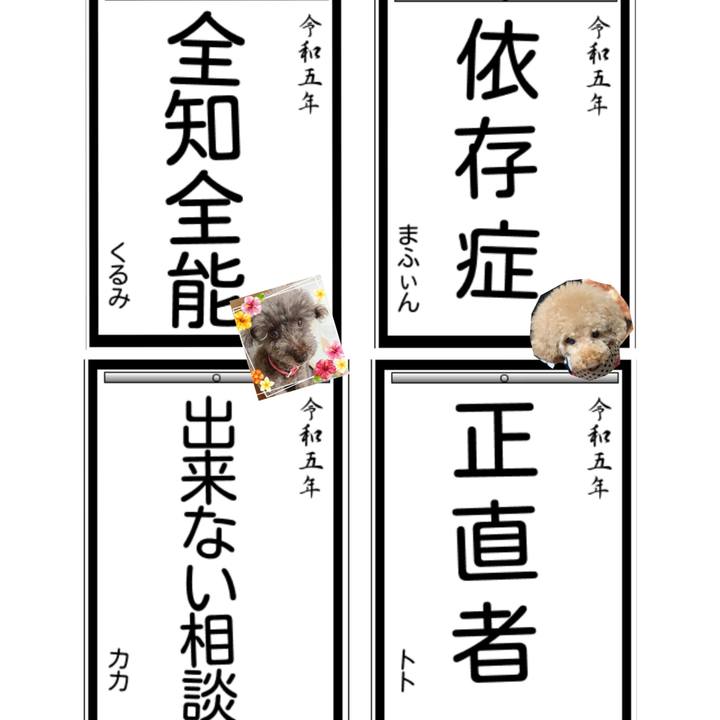 73393e07 9902 403a 84e1 b046e7dc95dc 1672561784046