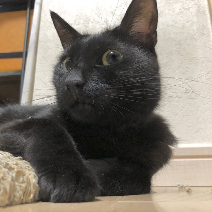 733979ca c112 4afe a571 8e4acc328bb2 1625885552112