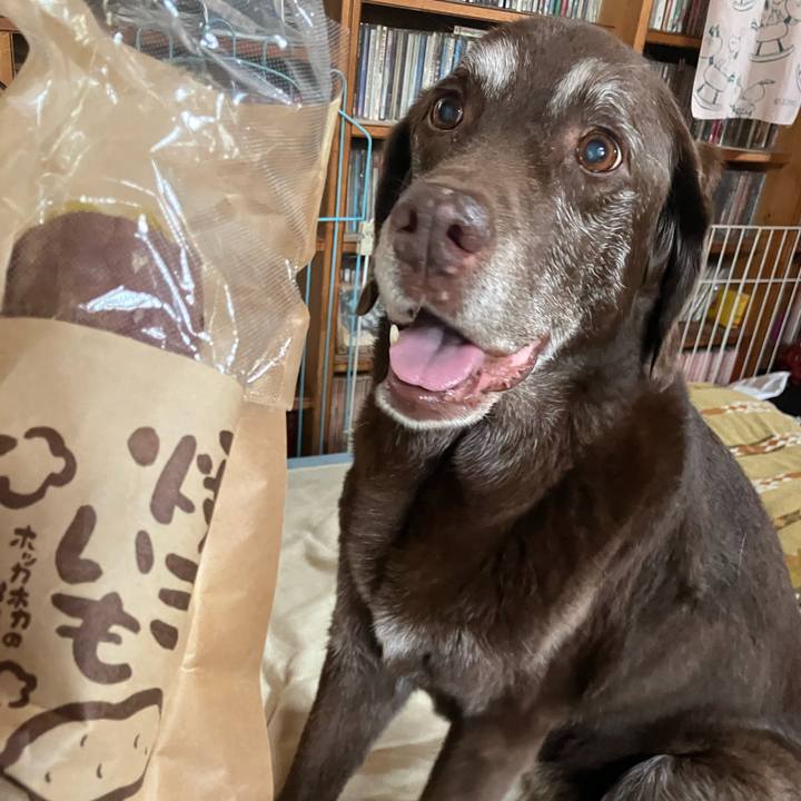 73397bd3 610f 4c6c ae42 d147fb45e8d6 1776158672336