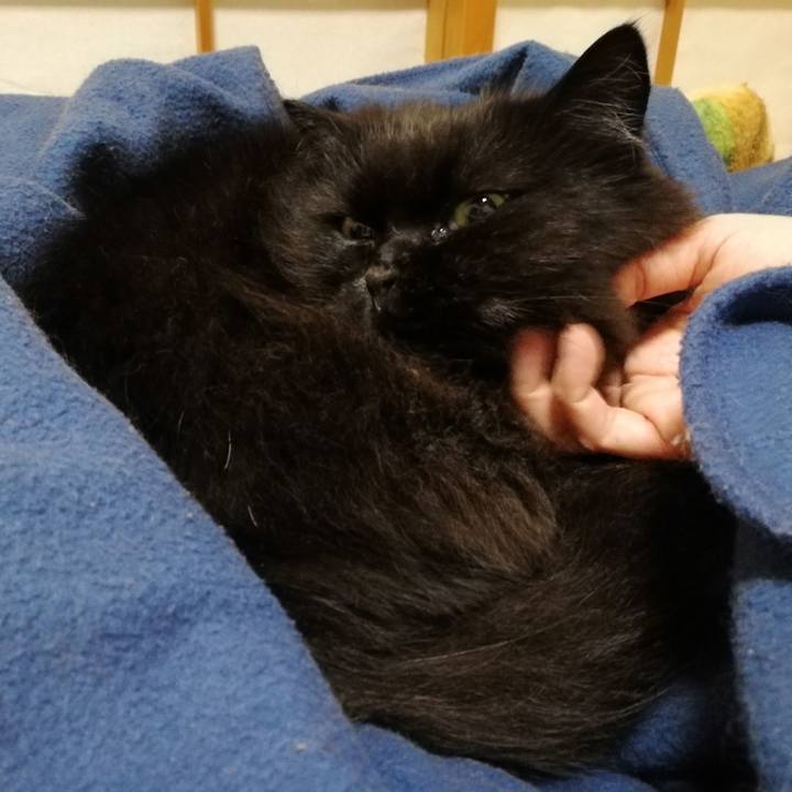 73398224 f275 4c5d b9fa a236069b7051 1545832621312