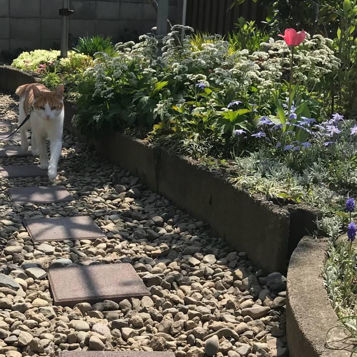 7339abb3 7919 4afe abd2 fb9ab441a0e4 1524284564311