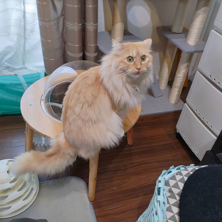 7339af4a 3a21 4147 a93e 841fb3200c3b 1714524962759