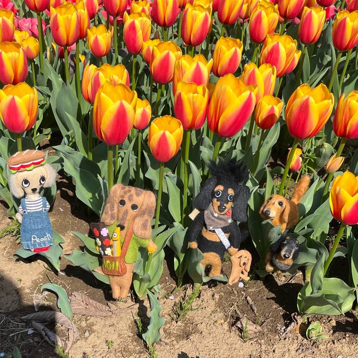 7339b73e 3728 4c37 9cfe 1a5f066176e9 1680358480891