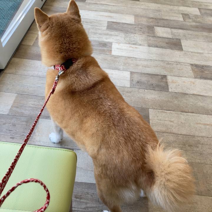 7339c457 effe 4970 a8f7 80bc48008234 1618142883345