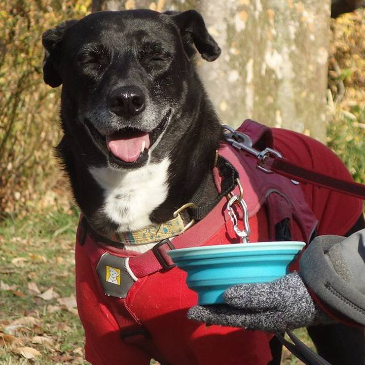 7339eafb ff11 4459 9cce c8ab9f3a94e4 1703033411002