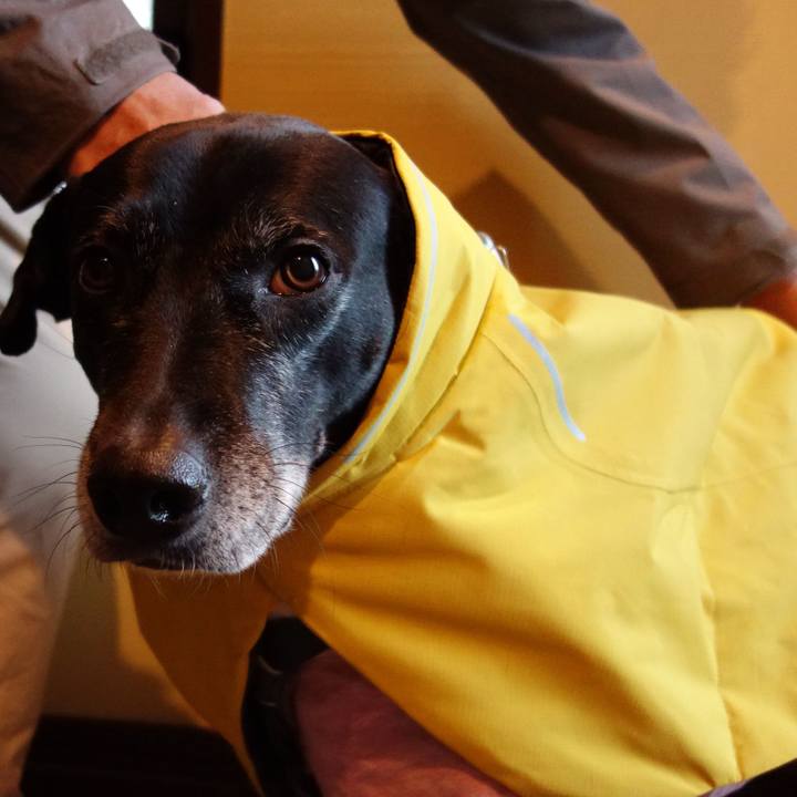 733a21c2 3808 4370 98dc b37190bed3b6 1738802107397