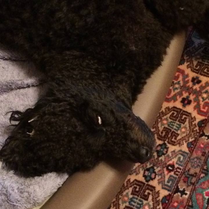 733a27e7 930a 4de1 980e 0de55bfcb936 1568805071795