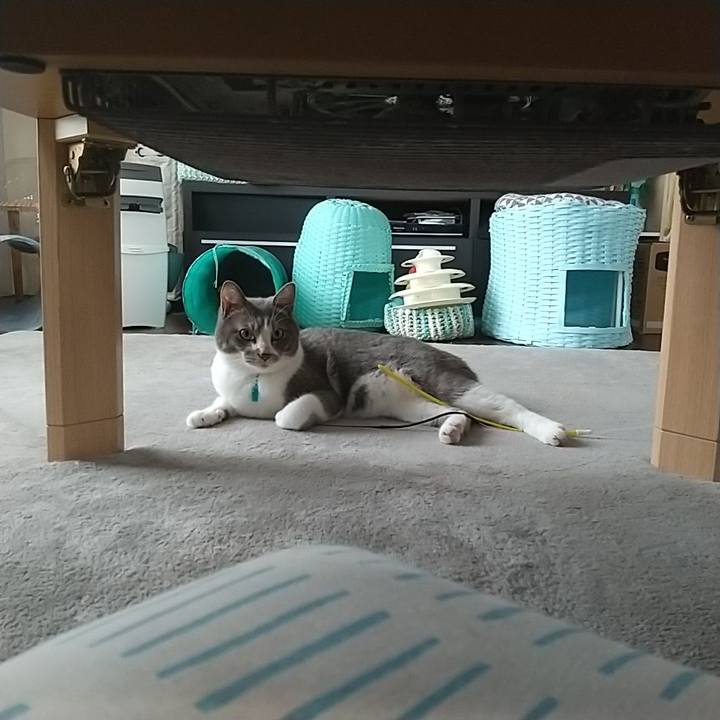 733a3d0f cf27 4cef b075 7312f6707613 1634183880203