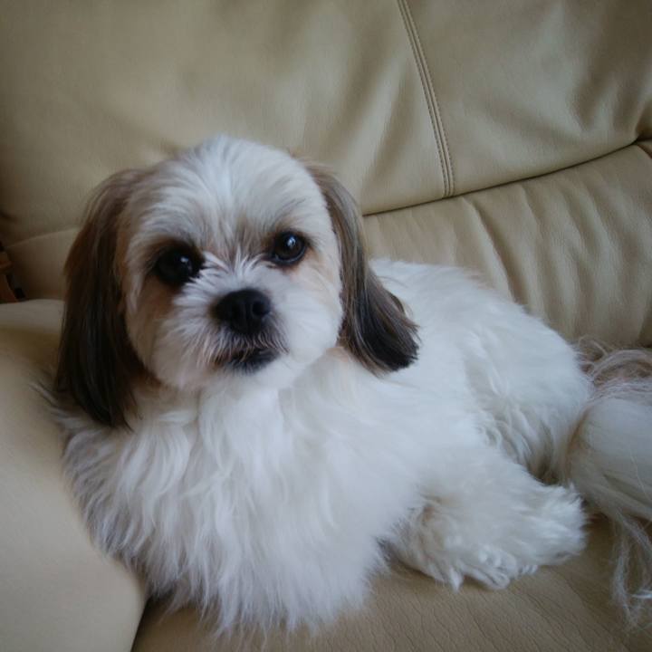 733a431b 1f11 4728 9092 62bde312b81b 1527125864305