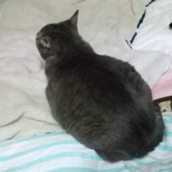 733a7bd0 9c76 46d1 9969 efd63245f3ac 1607116491909