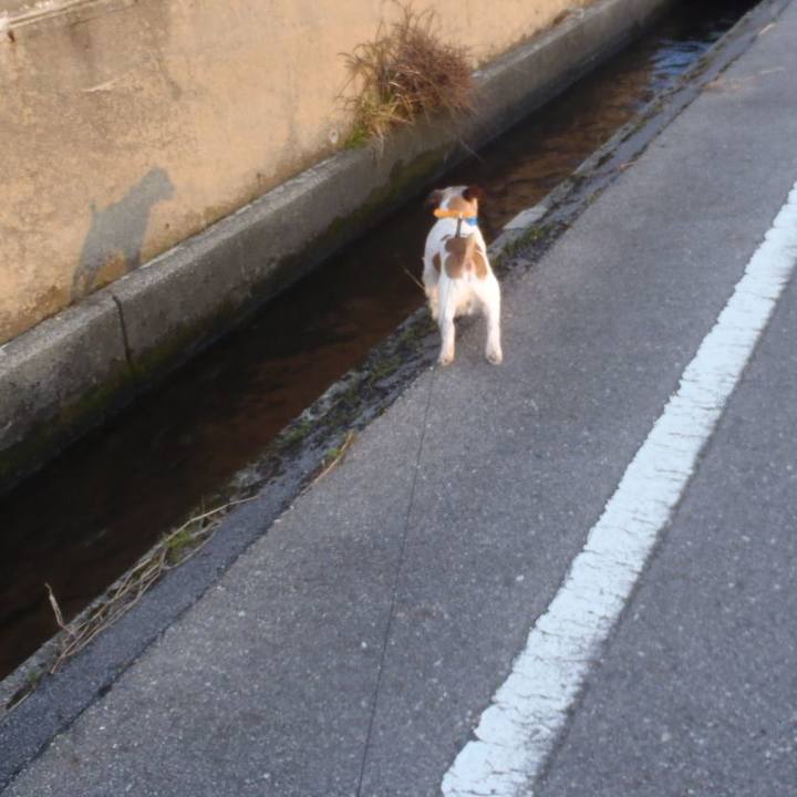 733a83b2 5bd4 4fe6 b330 9ca9441631ce 1522587707044