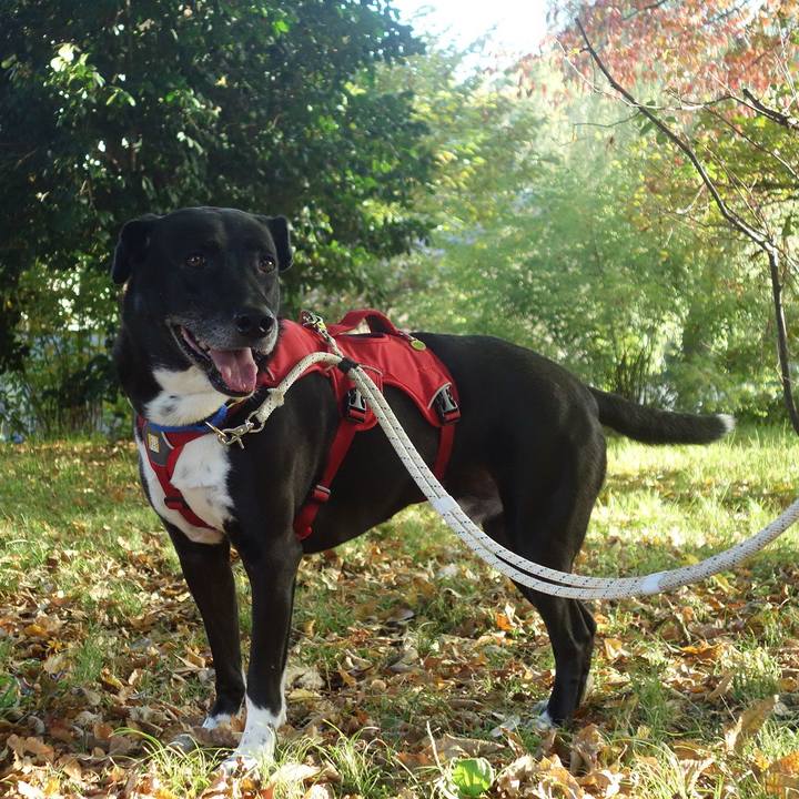 733a94ed 2e2f 4e59 aff6 135730d1a2c1 1667697355756