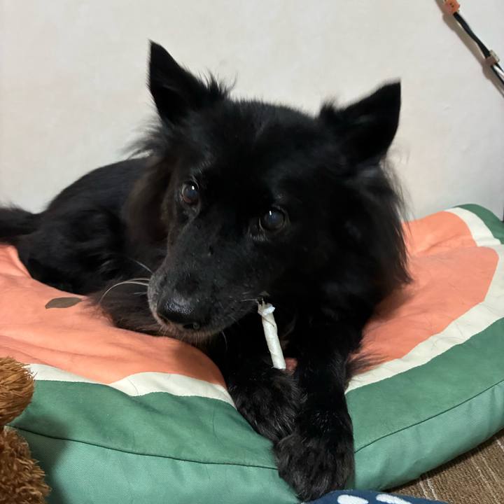 733ae779 27a9 4436 a332 8d355f9b5ee1 1756219977843