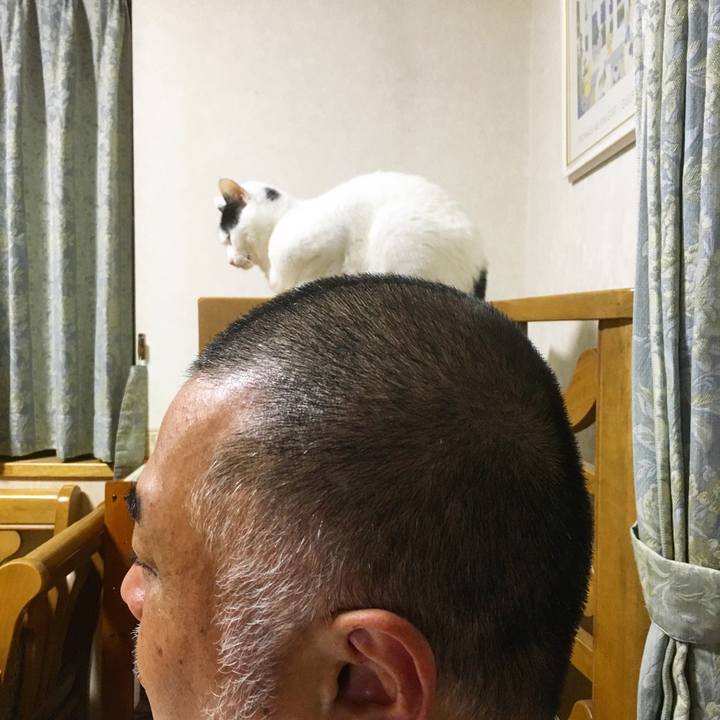 733af453 6e07 4c45 8fef 3abeda4e3c56 1542081604108