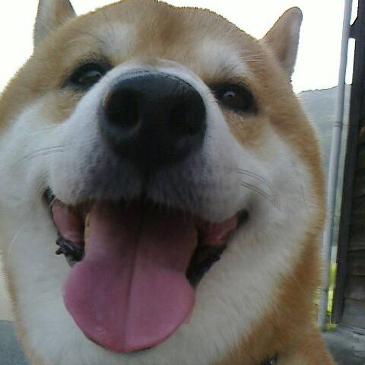 733af999 559f 48d2 b8f3 2d2db256a1c2 1531998222928