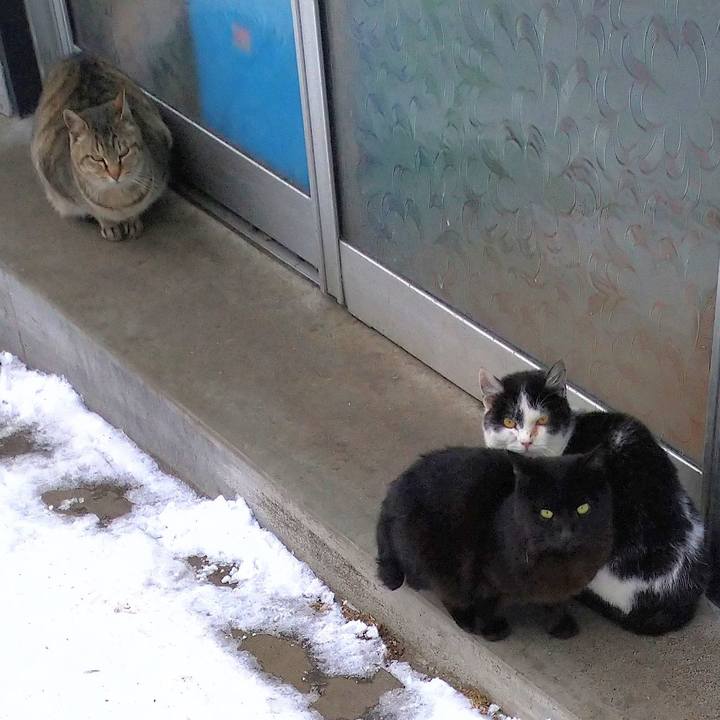 733b7afa 238f 4a03 bd3e 262415f5724a 1648020131028