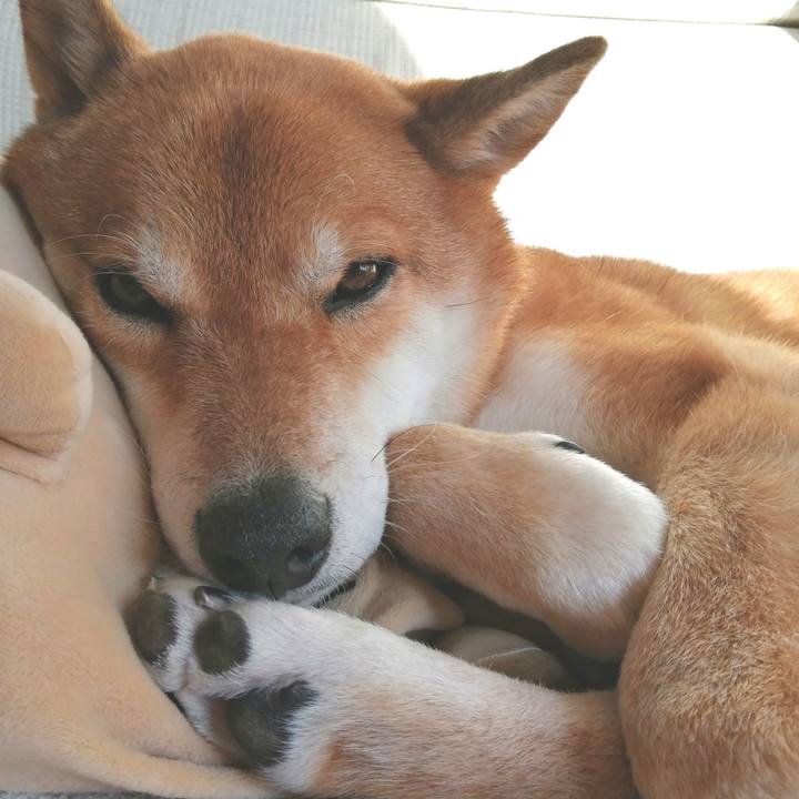 733bb10d edc2 4679 af10 01f1a95e6994 1580368964031