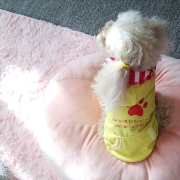 733bc40a ca50 4847 af8f 36a0b74f35e8 1516430885103